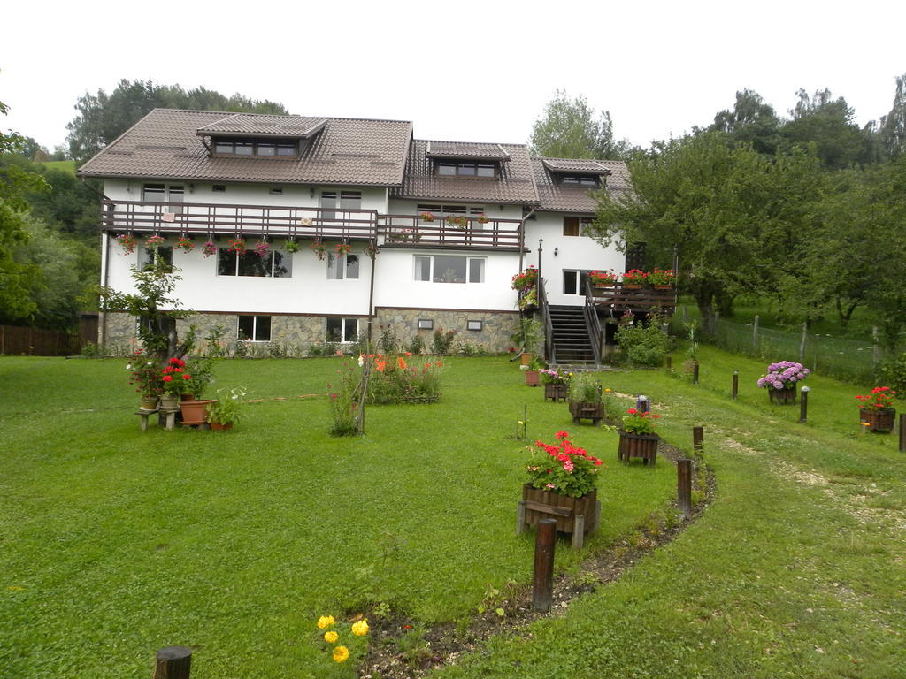 Pensiunea Cerbul Carpatin Bran (Brasov) Exterior foto