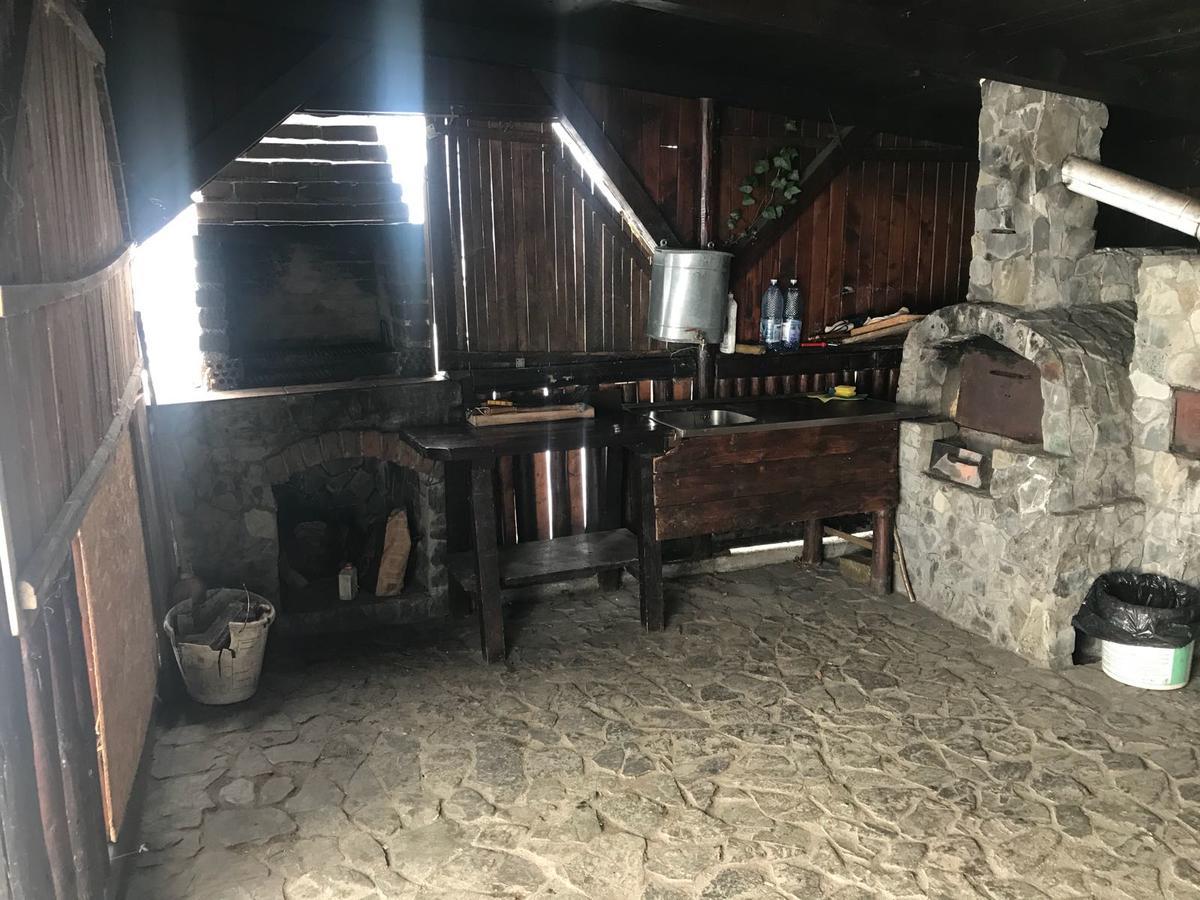 Pensiunea Cerbul Carpatin Bran (Brasov) Exterior foto